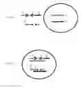 Fig. 08 - System and Methods for Massively Parallel Analysis of Nucleic Acids in Single Cells