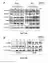 Fig. 06 - Methods and compositions for inducing deregulation of EPHA7 and ERK phosphorylation in human acute leukemias