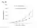 Fig. 09 - Modulation of Insulin Like Growth Factor I Receptor Expression in Cancer