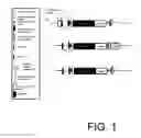 Fig. 02 - METHODS OF MODIFYING ALGAL CELL GENOMES