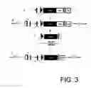 Fig. 04 - METHODS OF MODIFYING ALGAL CELL GENOMES