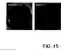 Fig. 16 - METHODS OF MODIFYING ALGAL CELL GENOMES