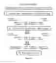 Fig. 03 - System For Expression Of Genes In Plants From A Virus-Based Expression Vector