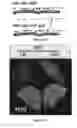 Fig. 30 - System For Expression Of Genes In Plants From A Virus-Based Expression Vector