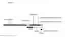 Fig. 19 - Vectors and methods for genetic immunization