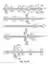 Fig. 40 - METHODS FOR CONTROLLING STEM CELL DIFFERENTIATION