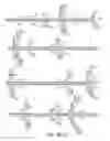 Fig. 41 - METHODS FOR CONTROLLING STEM CELL DIFFERENTIATION