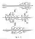 Fig. 45 - METHODS FOR CONTROLLING STEM CELL DIFFERENTIATION