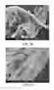 Fig. 35 - Processing biomass