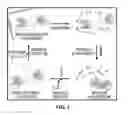 Fig. 02 - Polymer enhancement of enzymatic activity