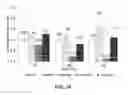 Fig. 43 - Polymer enhancement of enzymatic activity