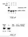 Fig. 06 - Method and compositions for the detection of protein glycosylation