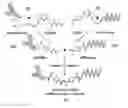 Fig. 01 - Oligonucleotide-mediated quantitative multiplexed immunoassays