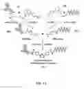 Fig. 02 - Oligonucleotide-mediated quantitative multiplexed immunoassays