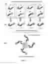 Fig. 04 - Oligonucleotide-mediated quantitative multiplexed immunoassays