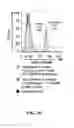 Fig. 06 - Oligonucleotide-mediated quantitative multiplexed immunoassays
