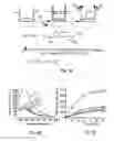 Fig. 07 - Recognition-release nanoporous substrate comprising active agents, methods of their preparation and uses