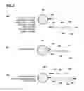 Fig. 06 - Methods and systems for nucleic acid amplification