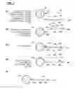 Fig. 08 - Methods and systems for nucleic acid amplification