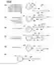 Fig. 09 - Methods and systems for nucleic acid amplification