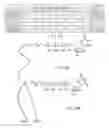 Fig. 33 - Compositions, systems, and methods for detecting events using tethers anchored to or adjacent to nanopores