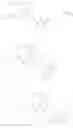 Fig. 149 - Functionalized cyanine dyes (PEG)