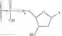 Fig. 221 - Functionalized cyanine dyes (PEG)