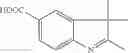 Fig. 51 - Functionalized cyanine dyes (PEG)