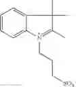 Fig. 57 - Functionalized cyanine dyes (PEG)
