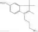 Fig. 60 - Functionalized cyanine dyes (PEG)