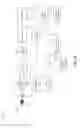 Fig. 10 - DNA MARKERS FOR BEEF TENDERNESS IN CATTLE