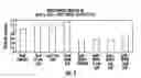 Fig. 02 - RNF41 as a biomarker predicting response to lenalidomide in non-del(5q) MDS