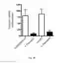 Fig. 06 - Method of screening compounds for the treatment of diabetes