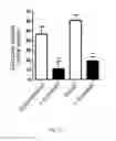 Fig. 07 - Method of screening compounds for the treatment of diabetes