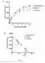 Fig. 08 - Method of screening compounds for the treatment of diabetes