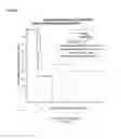 Fig. 04 - DIAGNOSTIC MARKERS FOR TREATING CELL PROLIFERATIVE DISORDERS WITH TELOMERASE INHIBITORS