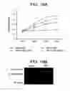 Fig. 27 - Compositions and methods for treating or preventing prostate cancer and for detecting androgen receptor variants