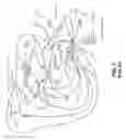 Fig. 02 - Predicting likelihood of response to combination therapy