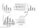 Fig. 10 - Compositions comprising soluble CD84 or anti-CD84 antibodies and methods for diagnosing and treating B-CLL