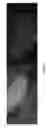 Fig. 07 - COMPOSITIONS AND METHODS FOR DETECTING, EXTRACTING, VISUALIZING, AND IDENTIFYING PROTOMYXZOA RHUEMATIC