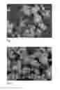 Fig. 03 - Continuous method for the precipitation of lignin from black liquor