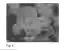 Fig. 04 - Continuous method for the precipitation of lignin from black liquor