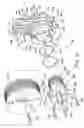 Fig. 06 - Internal combustion engine with cartridge style water pump assembly
