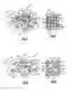 Fig. 04 - Gas turbine engine component having vascular engineered lattice structure