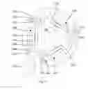 Fig. 09 - Drive arrangement for an engine ancillary such as a supercharger