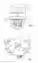 Fig. 02 - Article for blind fastening to a support