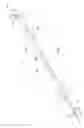 Fig. 03 - Elongated solid state light source holder for retrofitting luminaires with tombstone sockets