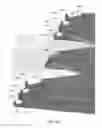 Fig. 08 - Elongated solid state light source holder for retrofitting luminaires with tombstone sockets
