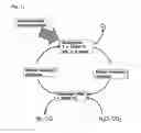 Fig. 02 - Heat transfer particles for solar-driven thermochemical processes