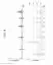 Fig. 07 - Viable particle counting system and viable particle counting method